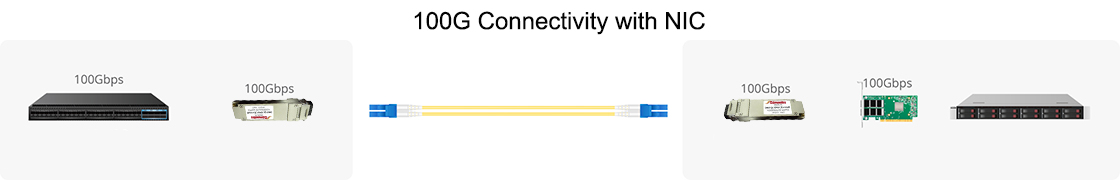 100G Connectivity with NIC